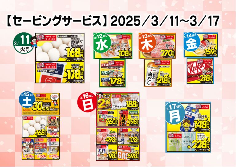 saving_03_11_03_17（大田）のサムネイル
