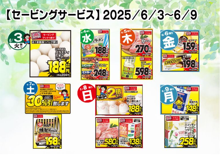 saving_06_03_06_09のサムネイル