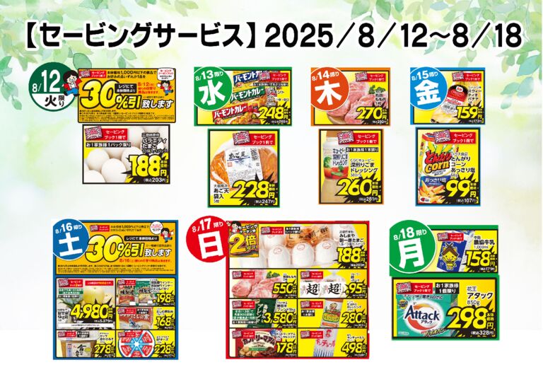 saving_08_12_08_18のサムネイル