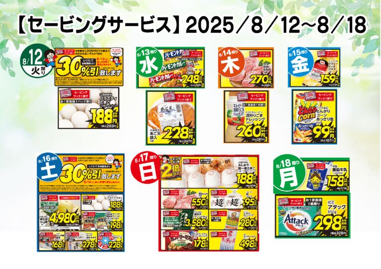 saving_08_12_08_18(大田）のサムネイル